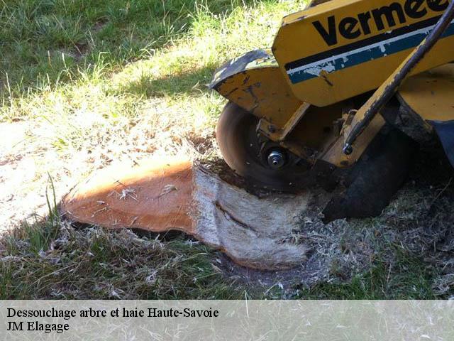 Dessouchage arbre et haie