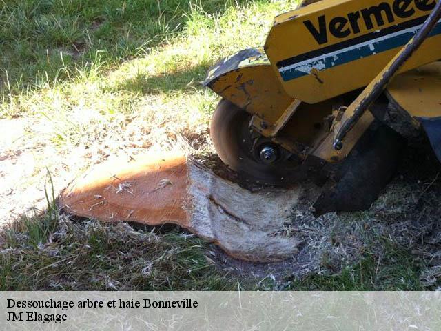 Dessouchage arbre et haie