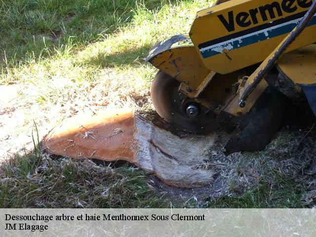 Dessouchage arbre et haie