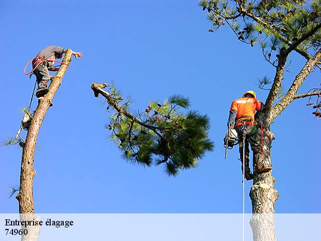 Entreprise élagage