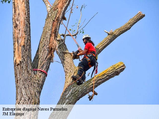 Entreprise élagage