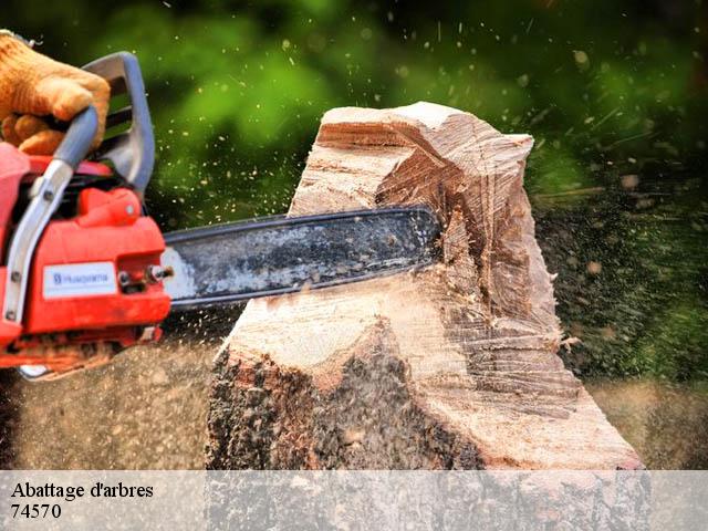 Abattage d'arbres