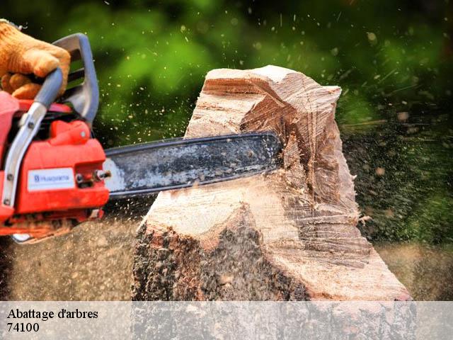 Abattage d'arbres