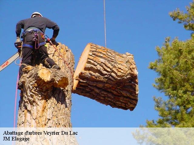 Abattage d'arbres