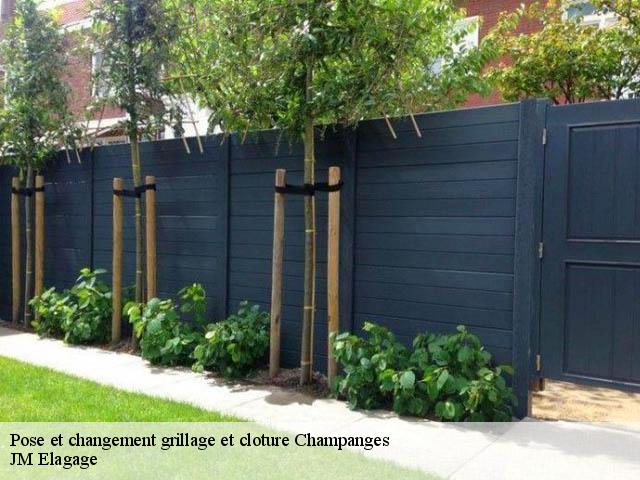 Pose et changement grillage et cloture