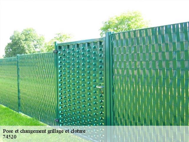 Pose et changement grillage et cloture